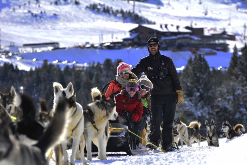 Balade chien de traineau en Famille en  Andorre