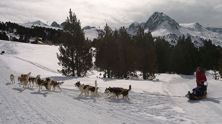 Faire du chien de traineau en Andorre dans les Pyrénées